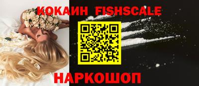 шишки Тара