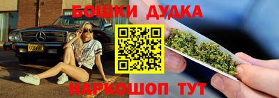 шишки Тара