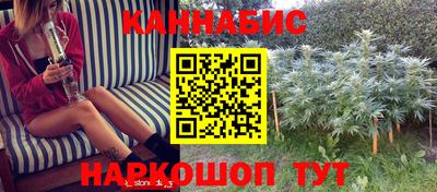 шишки Тара
