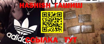 шишки Тара
