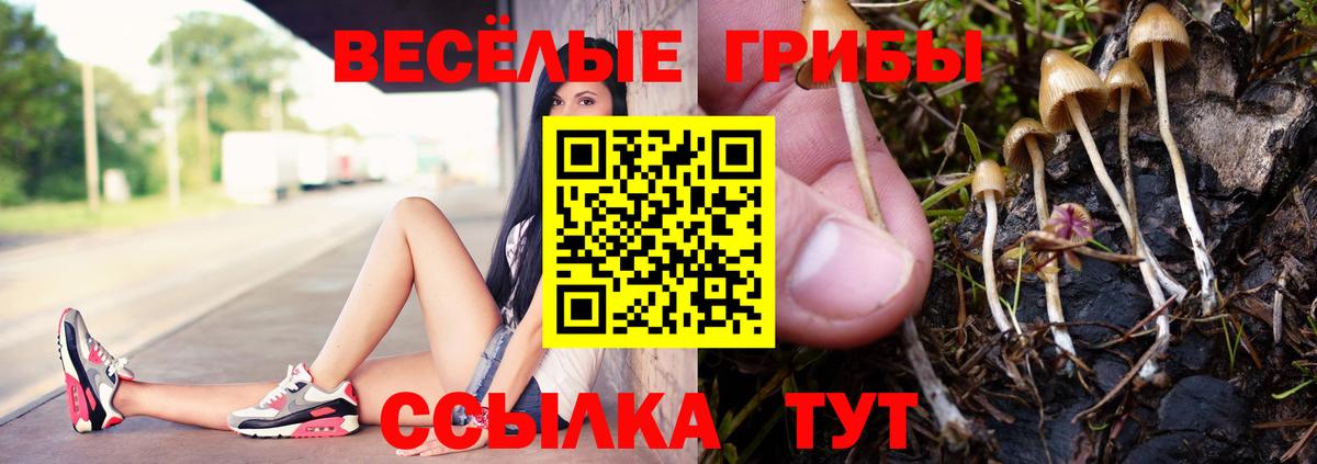 Псилоцибиновые грибы Magic Shrooms  Галлюциногенные грибы Psilocybe  купить наркотик  Вход с VPN  Мурино 